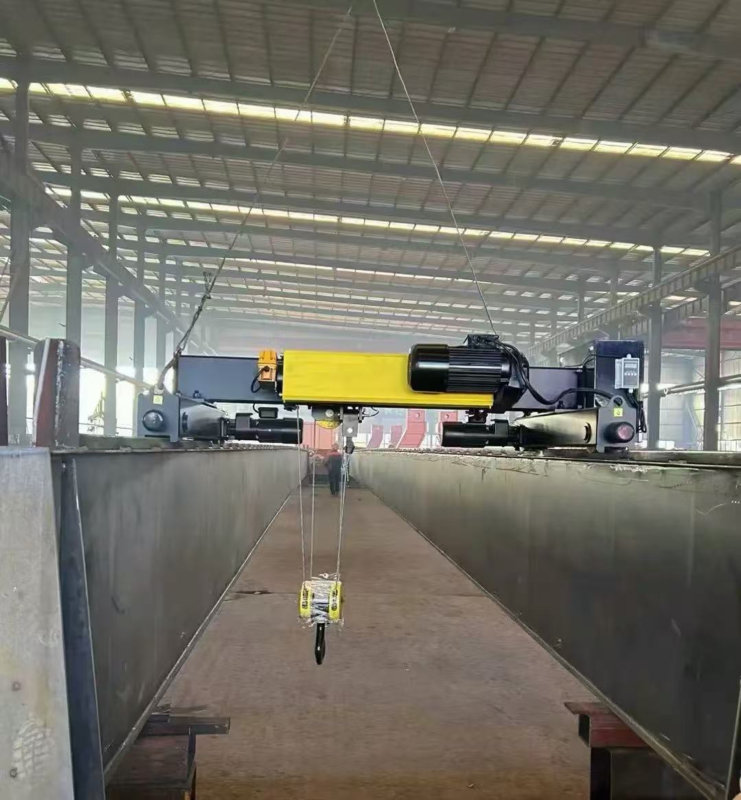 钢丝绳电动葫芦